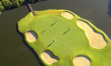 Afrique du Sud, le rêve austral