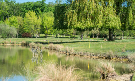 La Commanderie, une cave du Golf à déguster 